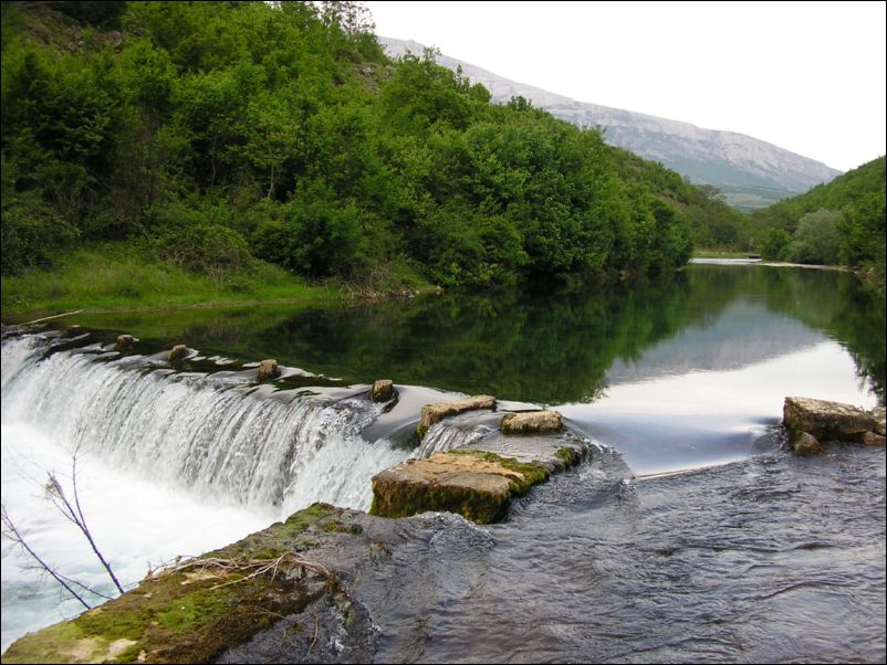 Krcic (19)